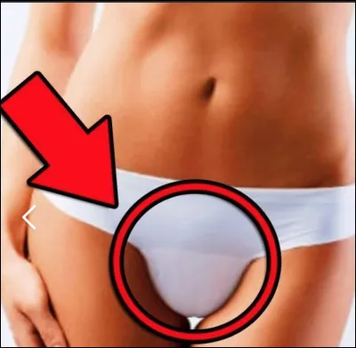 Quel est le nom de cette partie du corps, un amas de cellules graisseuse dans le bas ventre couvert de poils dès la puberté ?