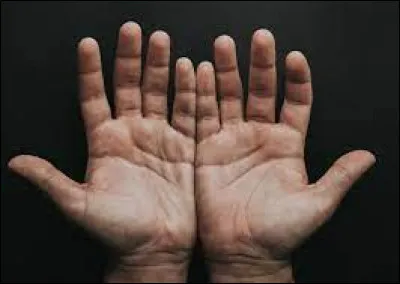 Ton plus grand défaut serait...