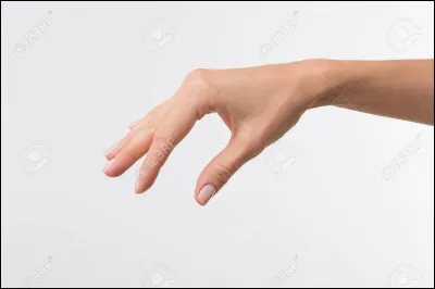 Si te devais choisir un accessoire parmi ceux-ci, ce serait...