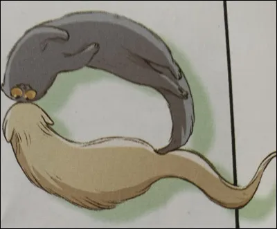 Quelle est celle-ci ?