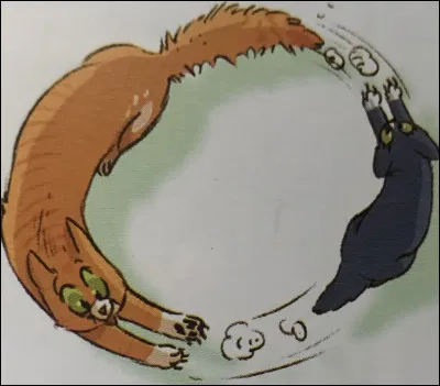 Quelle est celle-ci ?