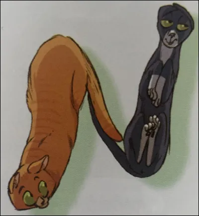 Quelle est celle-ci ?