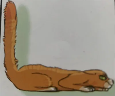 Quelle est celle-ci ?