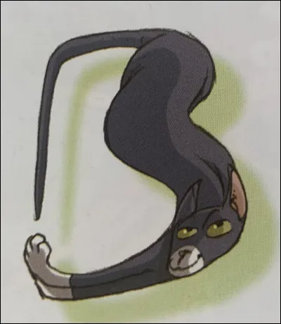 Quelle est celle-ci ?