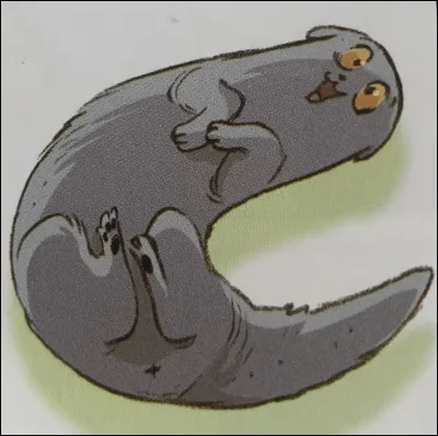 Quelle est celle-ci ?