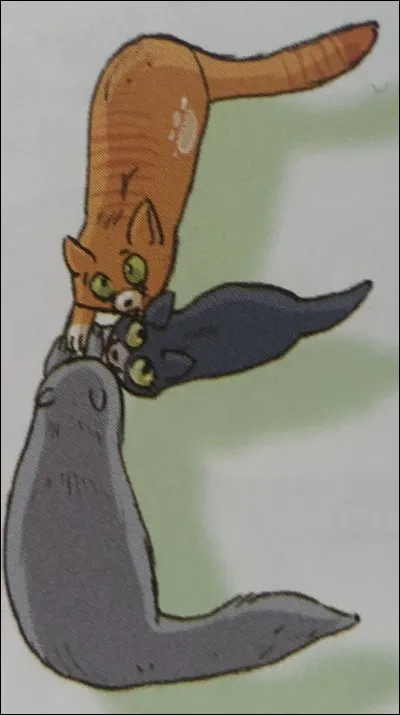 Quelle est celle-ci ?