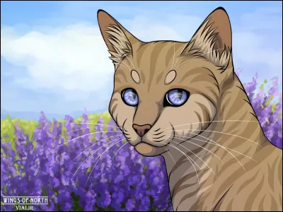 Comment serait ton fanart ?