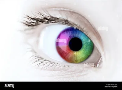 De quelle couleur sont tes yeux ?
