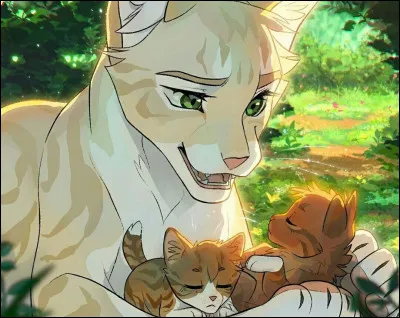 Comment est-elle décrite ?