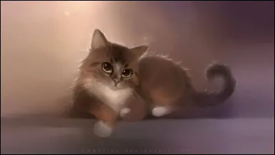 Quel est son nom de chaton ?