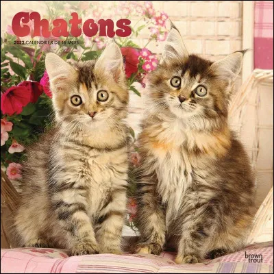 Comment s'appellent ses petits ?