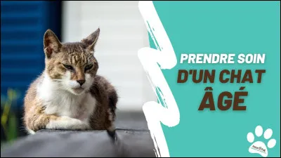 Combien de temps vivent-ils en moyenne ?