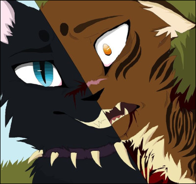 Quand Étoile du Tigre appelle le clan du sang pour convaincre le clan du Tonnerre et le clan du Vent à rejoindre son Clan du Tigre, que fait Fléau face à Étoile de Feu ?