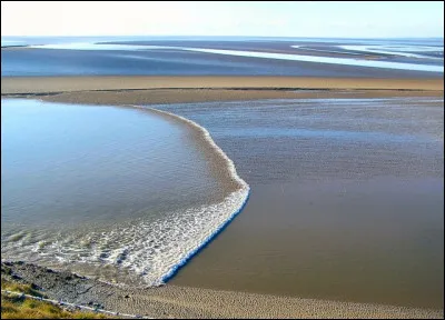 Un homme d'apparence mesquine était un...