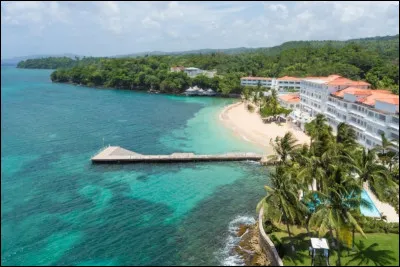 Où est né le mouvement rastafari ?