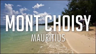 Quelle plante entre dans la composition d'une garniture Choisy ?