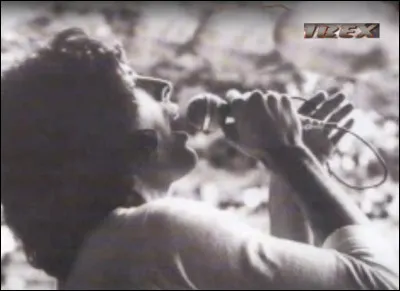 Mercury Freddie (1946-1991) auteur-compositeur-interpr&egrave;te britannique a d&eacute;but&eacute; sa carri&egrave;re de chanteur en 1969 avec le groupe Ibex.