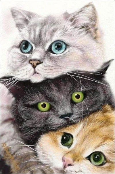 Dans la série de livres pour la jeunesse intitulée "La Guerre des clans", quels animaux sont mis en scène par Erin Hunter ?