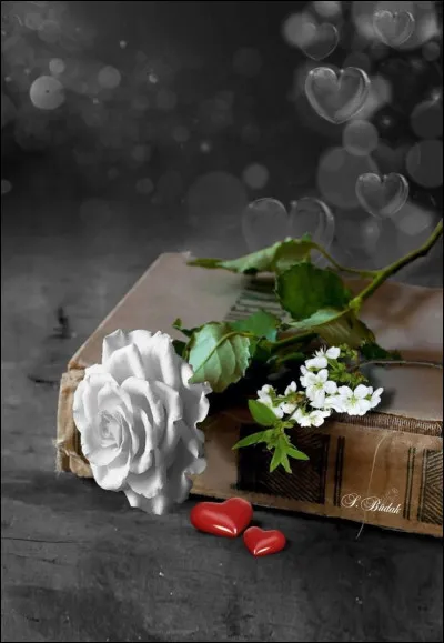 Quel est le livre de Joseph Kessel ?