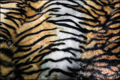 Mais... À qui appartiennent ces rayures ?