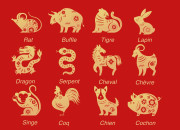 Quiz Les signes astrologiques chinois !