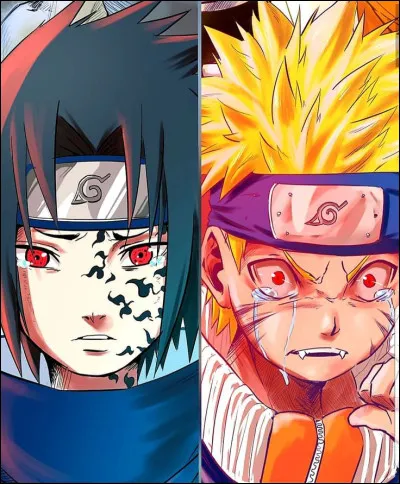 Comment se termine le premier affrontement entre Naruto et Sasuke ?