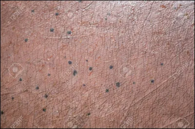 Déjà, il faut deviner ce que c'est... si tu as réussi, ça appartient à...