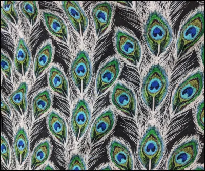 Et ces longues plumes à qui sont-elles ?