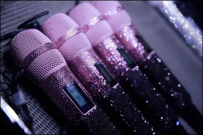 Si tu étais une idole de K-pop, sur quoi pourrais-tu compter pour devenir populaire ?