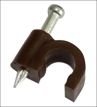 Redingote est un mot qui provient de l'anglais. Celui-ci signifiait...