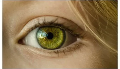 De quelle forme sont tes yeux ?