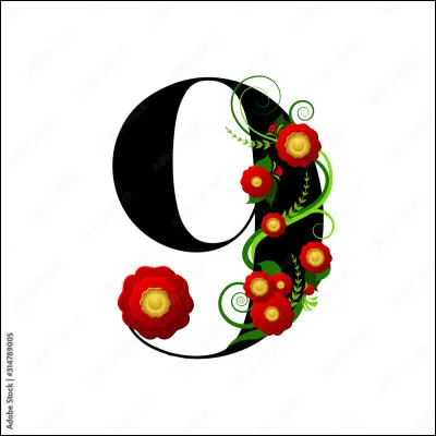 Quelle est la valeur de 9 à la puissance 3 ?