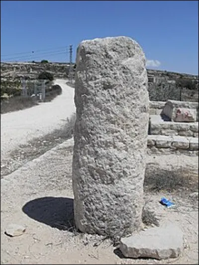 Outre les pneumatiques et les chambres à air, à quelle invention ont-ils participé, conjointement avec Dunlop et des associations de Touring-Club ?