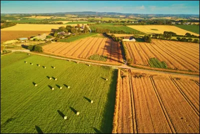 Lequel des deux, de Blaise Pascal ou du moraliste Chamfort a dit cette phrase : 
"Mon Dieu, préservez-moi des douleurs physiques, je m'arrangerai avec les douleurs morales." ?