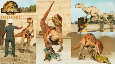 Dans quel pays Soyona Santos veut-elle emmener les dinosaures du genre Atrociraptor ?