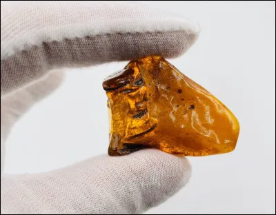 Dans quel pays se situe la mine d'ambre qui fournit l'ADN de dinosaures au parc ?