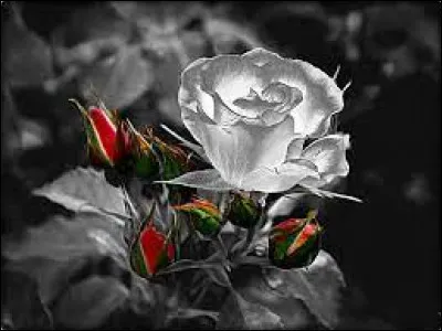 Quel est le drapeau de la Suède ?