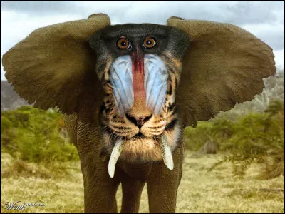 Allez, ça c'est juste pour rire, quels animaux composent le corps de cette bizarre créature ?