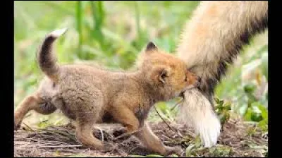 Faites la queue pour trouver la réponse !