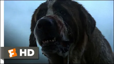 Dans quel film voit-on un saint-bernard qui se fait mordre par une chauve-souris enragée et devient un monstre sanguinaire qui attaque une mère et son fils coincés dans leur voiture ?
