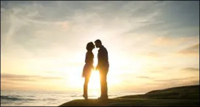 Dans quel pays la Saint-Valentin est-elle souvent célébrée en tant que journée de l'amitié plutôt que de l'amour romantique ?