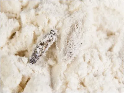 Si vous avez des mites dans la farine, c'est forcément un papillon de la famille des...