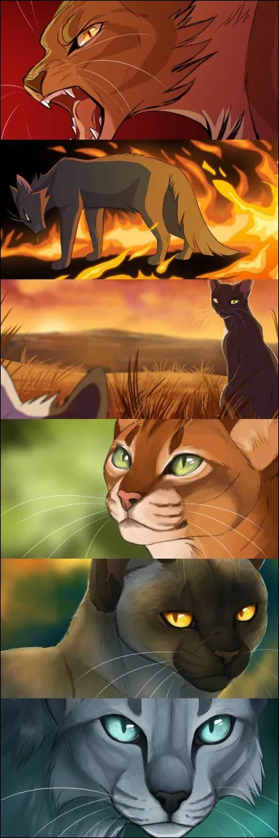 Étoile de Feu demande à Griffe de Ronce de faire une mission. Quelle était cette mission au départ ?