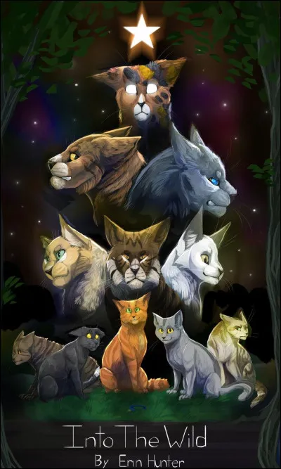 Quand il est arrivé au clan du Tonnerre, quel chat l'a convoqué en duel ?