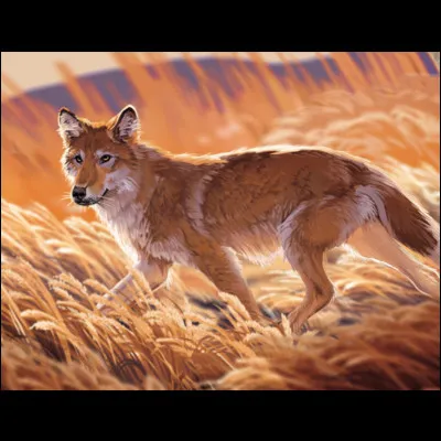 Comment s'appelle cet animal originaire des îles Malouines et disparu en 1876 ?