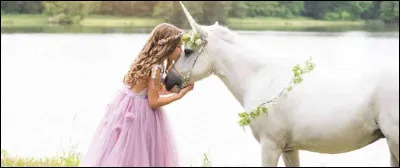 Suite de la question 3
Quel animal préfères-tu ?