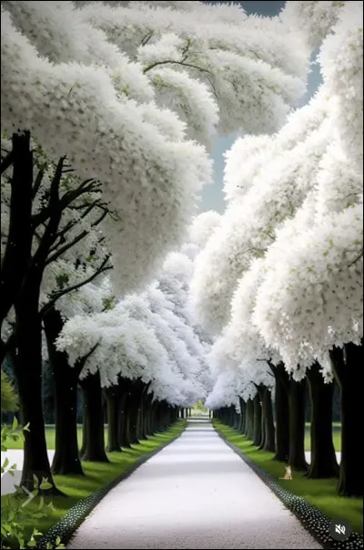 Dans les années 60, qui chantait "Souvenirs souvenirs, je vous retrouve dans mon cur et vous faites refleurir tous mes rêves de bonheur ♫ ?