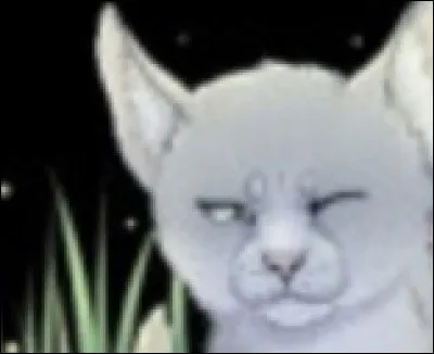 Qu'arrivera-t-il à son autre fille ?