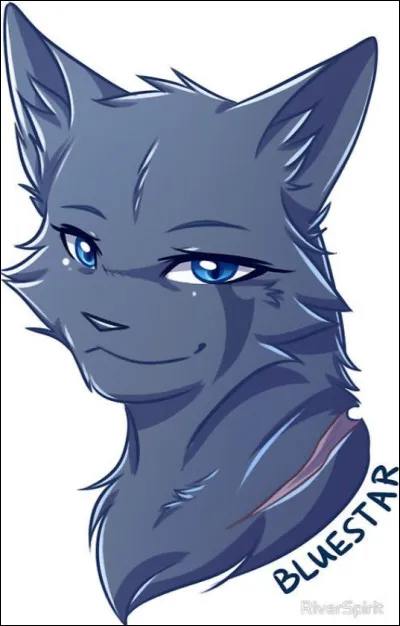 Quel est son nom de chaton ?