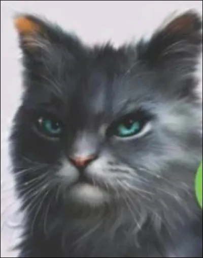 De qui tombe-t-elle amoureuse ?